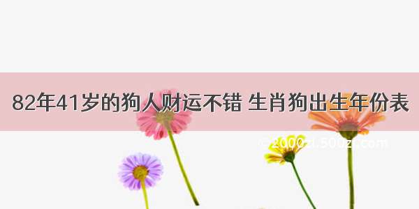 82年41岁的狗人财运不错 生肖狗出生年份表