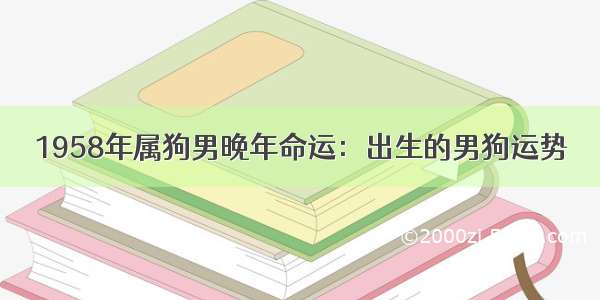 1958年属狗男晚年命运：出生的男狗运势