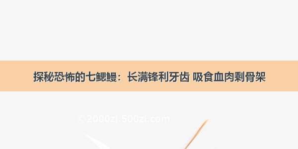 探秘恐怖的七鳃鳗：长满锋利牙齿 吸食血肉剩骨架