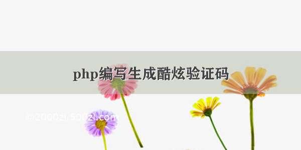 php编写生成酷炫验证码