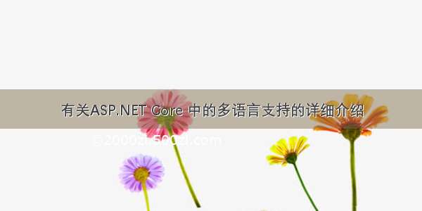 有关ASP.NET Core 中的多语言支持的详细介绍