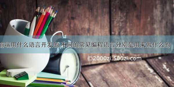 大型网站前端用什么语言开发的 不同的常见编程语言分别是用来做什么的 – 前端技术