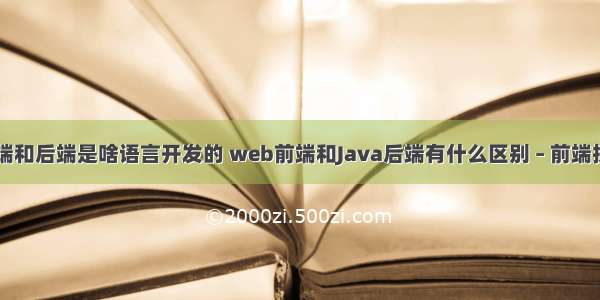 网站的前端和后端是啥语言开发的 web前端和Java后端有什么区别 – 前端技术 – 前端