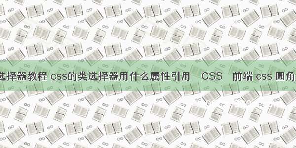 css11选择器教程 css的类选择器用什么属性引用 – CSS – 前端 css 圆角文本框