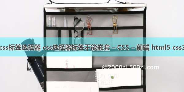 制作一个css标签选择器 css选择器标签不能嵌套 – CSS – 前端 html5 css3网页实例