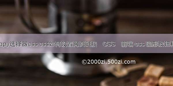 scrapy选择器css css如何设置网页链接 – CSS – 前端 css 圆形按钮样式