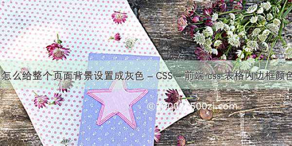 HTML5中怎么给整个页面背景设置成灰色 – CSS – 前端 css 表格内边框颜色设置颜色