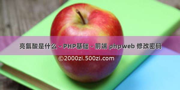 亮氨酸是什么 – PHP基础 – 前端 phpweb 修改密码