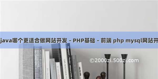 php和java哪个更适合做网站开发 – PHP基础 – 前端 php mysql网站开发教程