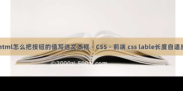 html怎么把按钮的值写进文本框 – CSS – 前端 css lable长度自适应