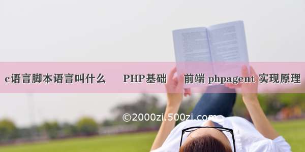 c语言脚本语言叫什么 – PHP基础 – 前端 phpagent 实现原理