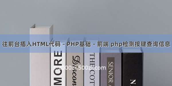 往前台插入HTML代码 – PHP基础 – 前端 php检测按键查询信息