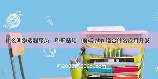 什么叫渗透程序员 – PHP基础 – 前端 php 适合什么应用开发