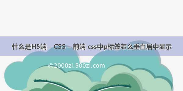 什么是H5端 – CSS – 前端 css中p标签怎么垂直居中显示