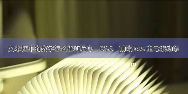 文本框中的数字怎么垂直居中 – CSS – 前端 css 重写滚动条