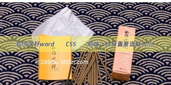 如何学好word – CSS – 前端 css设置复选框大小