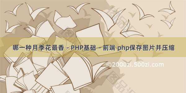 哪一种月季花最香 – PHP基础 – 前端 php保存图片并压缩