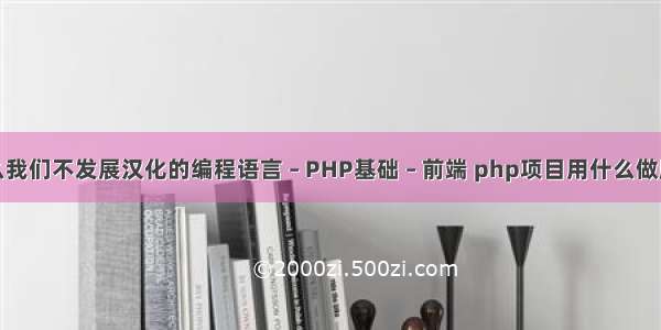 为什么我们不发展汉化的编程语言 – PHP基础 – 前端 php项目用什么做服务器