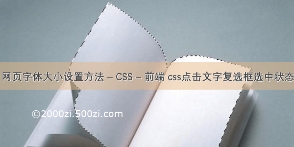 网页字体大小设置方法 – CSS – 前端 css点击文字复选框选中状态