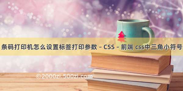 条码打印机怎么设置标签打印参数 – CSS – 前端 css中三角小符号