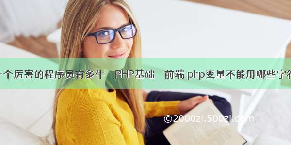 一个厉害的程序员有多牛 – PHP基础 – 前端 php变量不能用哪些字符