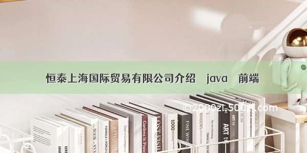 恒泰上海国际贸易有限公司介绍 – java – 前端