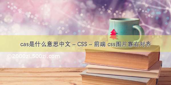 cas是什么意思中文 – CSS – 前端 css图片靠右对齐