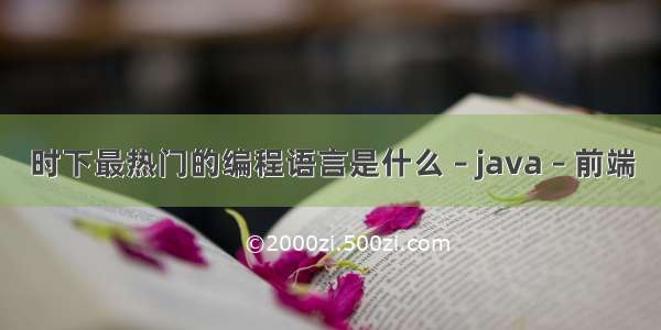 时下最热门的编程语言是什么 – java – 前端