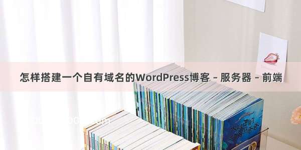 怎样搭建一个自有域名的WordPress博客 – 服务器 – 前端