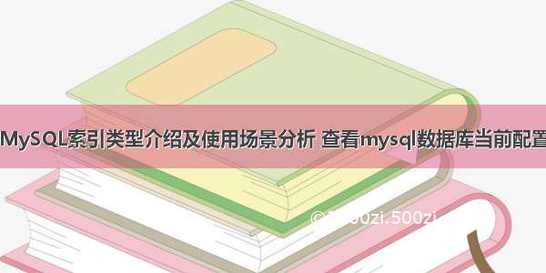 MySQL索引类型介绍及使用场景分析 查看mysql数据库当前配置