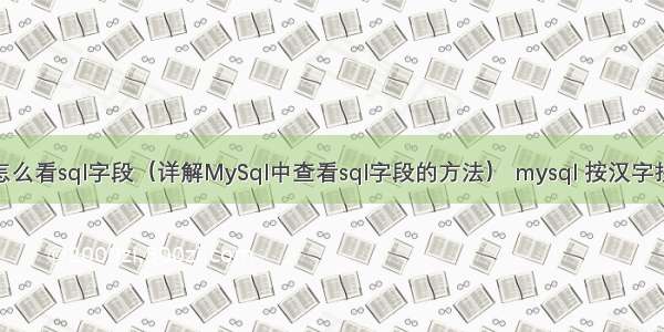 MySql怎么看sql字段（详解MySql中查看sql字段的方法） mysql 按汉字拼音排序