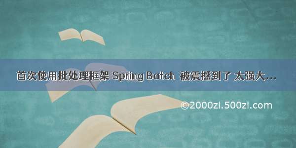 首次使用批处理框架 Spring Batch  被震撼到了 太强大...