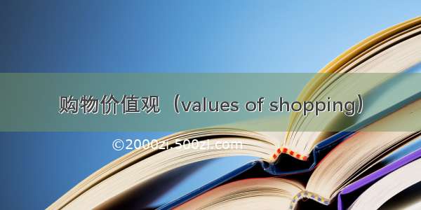 购物价值观（values of shopping）