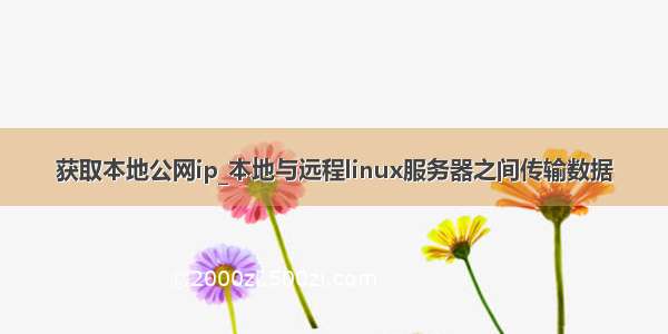 获取本地公网ip_本地与远程linux服务器之间传输数据