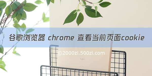 谷歌浏览器 chrome 查看当前页面cookie