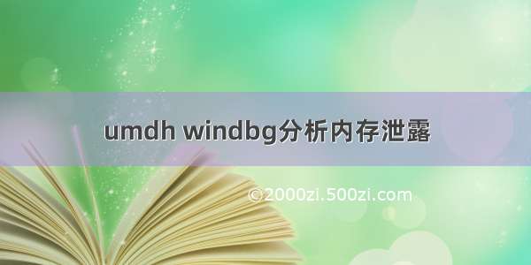 umdh windbg分析内存泄露