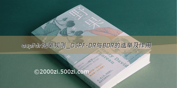 ospfdr选举规则_OSPF-DR与BDR的选举及作用