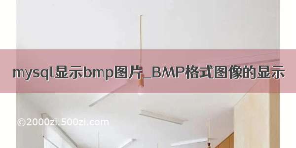 mysql显示bmp图片_BMP格式图像的显示