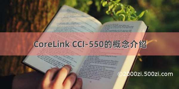 CoreLink CCI-550的概念介绍