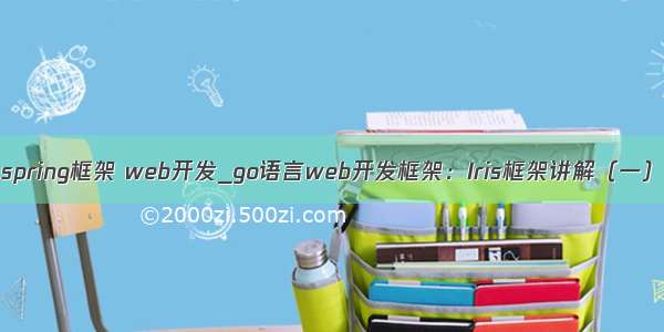 spring框架 web开发_go语言web开发框架：Iris框架讲解（一）