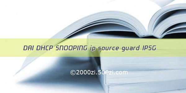 DAI DHCP SNOOPING ip source guard IPSG