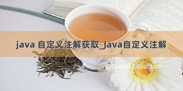 java 自定义注解获取_Java自定义注解