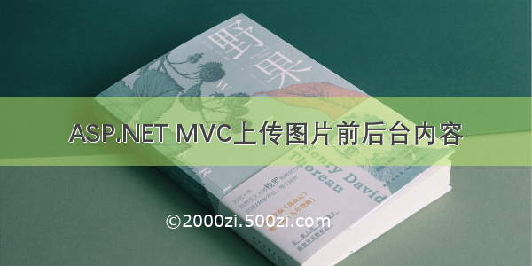 ASP.NET MVC上传图片前后台内容