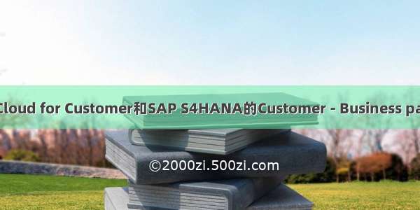 SAP Cloud for Customer和SAP S4HANA的Customer - Business partner