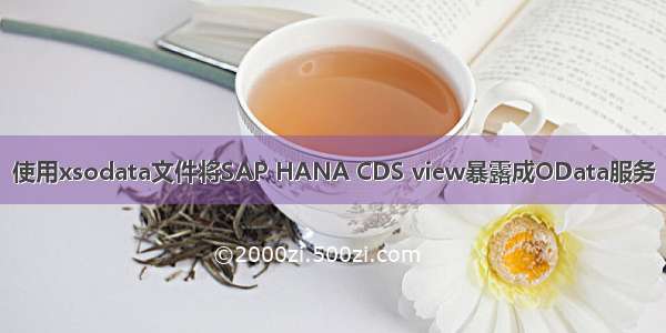 使用xsodata文件将SAP HANA CDS view暴露成OData服务