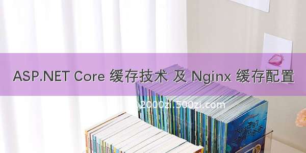 ASP.NET Core 缓存技术 及 Nginx 缓存配置
