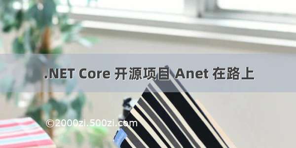 .NET Core 开源项目 Anet 在路上