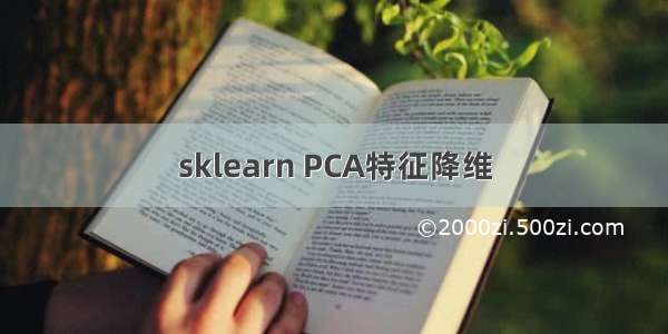 sklearn PCA特征降维