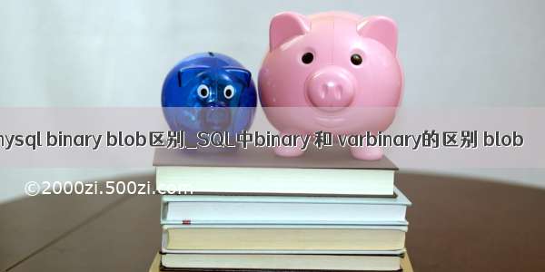 mysql binary blob区别_SQL中binary 和 varbinary的区别 blob