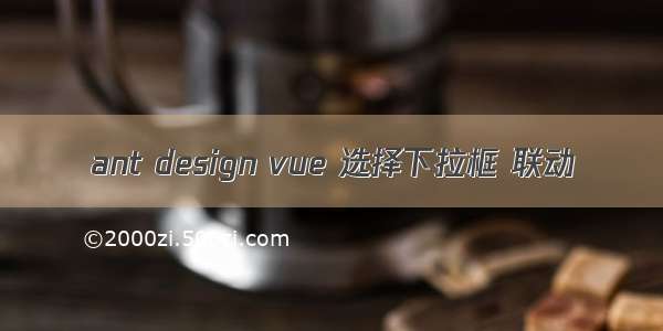 ant design vue 选择下拉框 联动